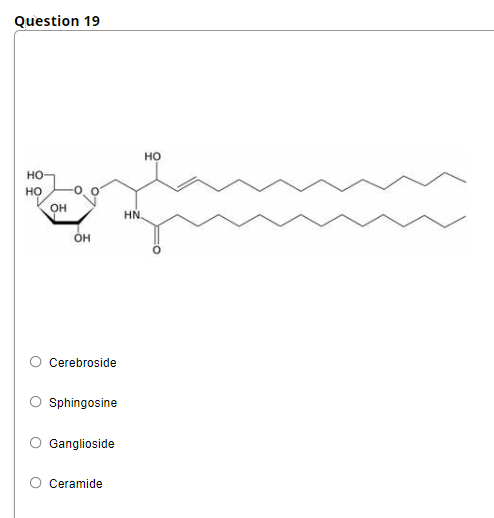 Question 19
но
но
но
он
HN.
он
Cerebroside
Sphingosine
O Ganglioside
Ceramide
