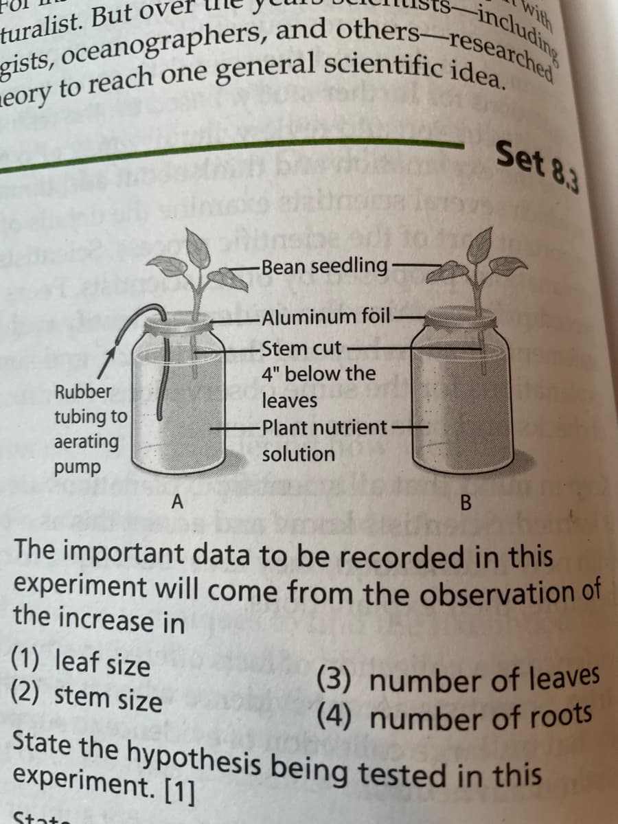 neory to reach one general scientific idea.
gists, oceanographers, and others-researched
with
including
turalist. But ovel
Set 8.3
-Bean seedling
-Aluminum foil
-Stem cut
4" below the
Rubber
leaves
tubing to
aerating
-Plant nutrient
solution
dund
A
The important data to be recorded in this
experiment will come from the observation of
the increase in
(3) number of leaves
(4) number of roots
State the hypothesis being tested in this
(1) leaf size
(2) stem size
experiment. [1]
State
