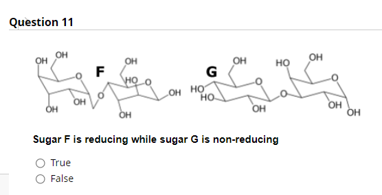 Question 11
он он
OH
OH
он
G
F
но
LOH HO
Но.
OH
OH
OH
OH
Sugar F is reducing while sugar G is non-reducing
True
False
