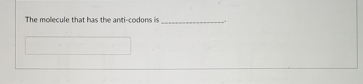 The molecule that has the anti-codons is
