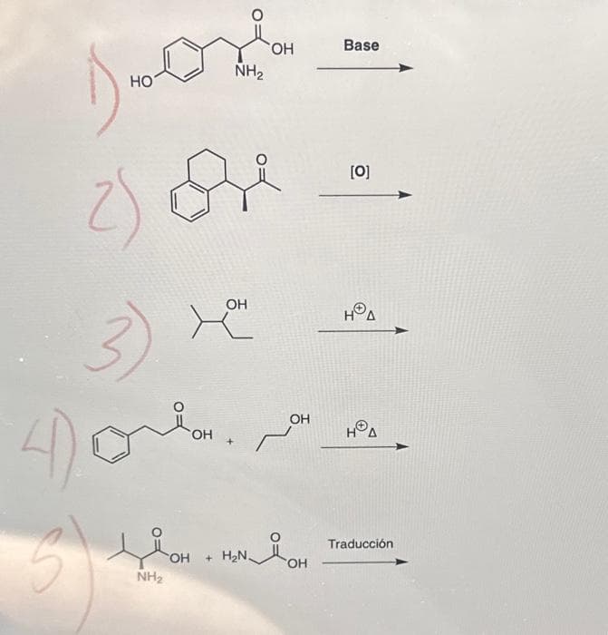 همك
NH₂
OH
3) x
Dorlar.
4)
5
OH
2) ore".
OH +
سر
OH
Base
И воно нивон
OH + H₂N.
NH₂
[0]
Traducción