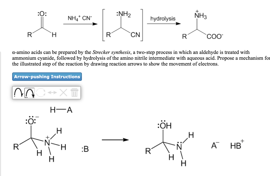 :0:
:NH2
hydrolysis
NH3
NH4* CN-
R
H.
R
CN
R
a-amino acids can be prepared by the Strecker synthesis, a two-step process in which an aldehyde is treated with
ammonium cyanide, followed by hydrolysis of the amino nitrile intermediate with aqueous acid. Propose a mechanism for
the illustrated step of the reaction by drawing reaction arrows to show the movement of electrons.
Arrow-pushing Instructions
H-A
:0:
:ÖH
R
A HB
:B
R
