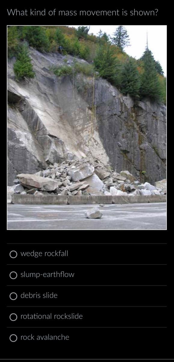 What kind of mass movement is shown?
wedge rockfall
slump-earthflow
debris slide
rotational rockslide
O rock avalanche