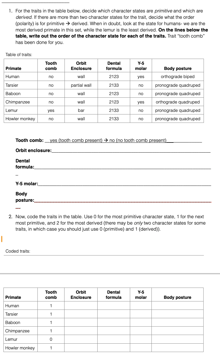 1. For the traits in the table below, decide which character states are primitive and which are
derived. If there are more than two character states for the trait, decide what the order
(polarity) is for primitive → derived. When in doubt, look at the state for humans- we are the
most derived primate in this set, while the lemur is the least derived. On the lines below the
table, write out the order of the character state for each of the traits. Trait "tooth comb"
has been done for you.
Table of traits:
Tooth
Orbit
Primate
comb
Enclosure
Dental
formula
Y-5
molar
Body posture
Human
no
wall
2123
yes
orthograde biped
Tarsier
no
partial wall
2133
no
pronograde quadruped
Baboon
no
wall
2123
no
pronograde quadruped
Chimpanzee
no
wall
2123
yes
orthograde quadruped
Lemur
yes
bar
2133
no
pronograde quadruped
Howler monkey
no
wall
2133
по
pronograde quadruped
Tooth comb: yes (tooth comb present) → no (no tooth comb present)_
Orbit enclosure:
Dental
formula:
Y-5 molar:
Body
posture:
2. Now, code the traits in the table. Use 0 for the most primitive character state, 1 for the next
most primitive, and 2 for the most derived (there may be only two character states for some
traits, in which case you should just use 0 (primitive) and 1 (derived)).
Coded traits:
Primate
Tooth
comb
Orbit
Enclosure
Dental
formula
Y-5
molar
Body posture
Human
1
Tarsier
1
Baboon
1
Chimpanzee
1
Lemur
0
Howler monkey
1