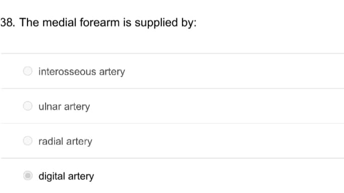 38. The medial forearm is supplied by:
interosseous artery
O ulnar artery
radial artery
digital artery
