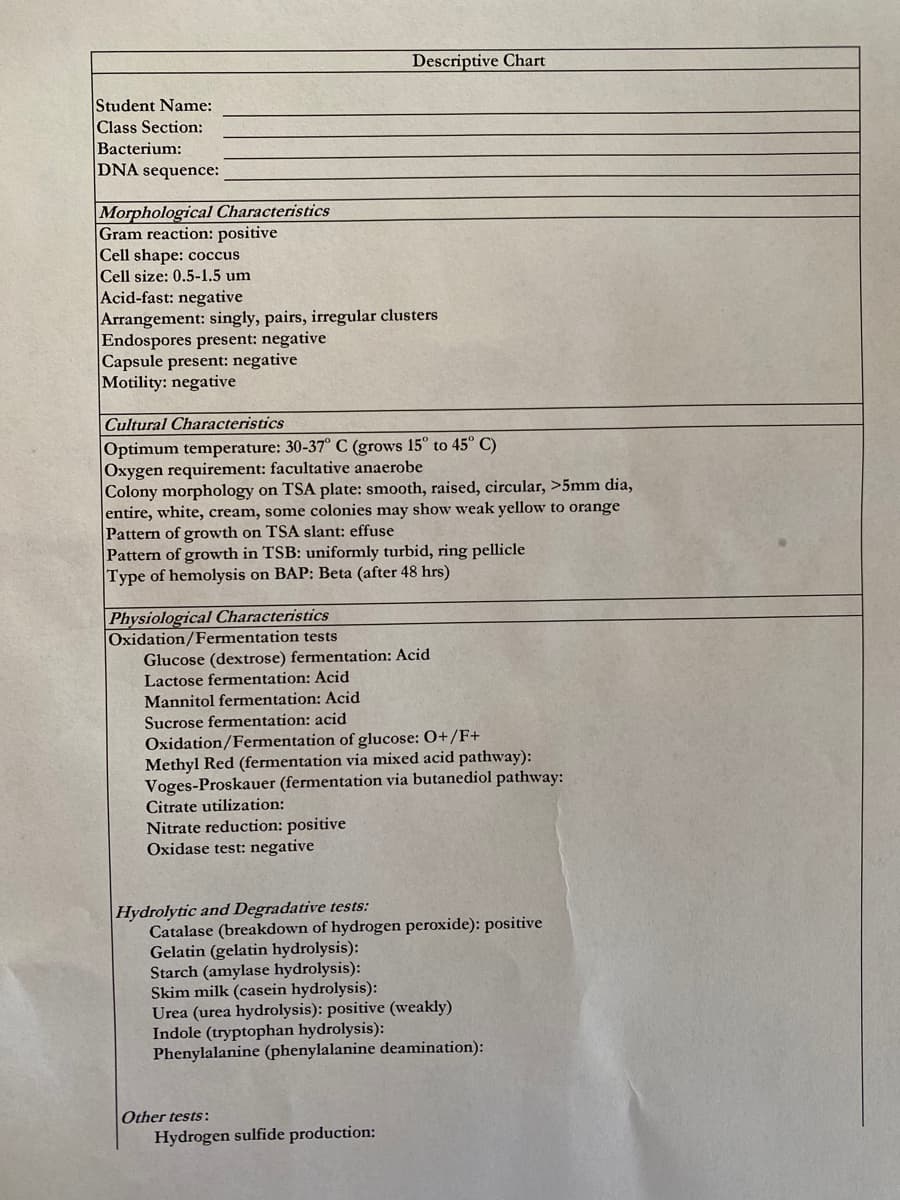 Descriptive Chart
Student Name:
Class Section:
Bacterium:
DNA sequence:
Morphological Characteristics
Gram reaction: positive
Cell shape: coccus
Cell size: 0.5-1.5 um
Acid-fast: negative
Arrangement: singly, pairs, irregular clusters
Endospores present: negative
Capsule present: negative
Motility: negative
Cultural Characteristics
Optimum temperature: 30-37° C (grows 15° to 45° C)
Oxygen requirement: facultative anaerobe
Colony morphology on TSA plate: smooth, raised, circular, >5mm dia,
entire, white, cream, some colonies may show weak yellow to orange
Pattern of growth on TSA slant: effuse
Pattern of growth in TSB: uniformly turbid, ring pellicle
Type of hemolysis on BAP: Beta (after 48 hrs)
Physiological Characteristics
Oxidation/Fermentation tests
Glucose (dextrose) fermentation: Acid
Lactose fermentation: Acid
Mannitol fermentation: Acid
Sucrose fermentation: acid
Oxidation/Fermentation of glucose: O+/F+
Methyl Red (fermentation via mixed acid pathway):
Voges-Proskauer (fermentation via butanediol pathway:
Citrate utilization:
Nitrate reduction: positive
Oxidase test: negative
Hydrolytic and Degradative tests:
Catalase (breakdown of hydrogen peroxide): positive
Gelatin (gelatin hydrolysis):
Starch (amylase hydrolysis):
Skim milk (casein hydrolysis):
Urea (urea hydrolysis): positive (weakly)
Indole (tryptophan hydrolysis):
Phenylalanine (phenylalanine deamination):
Other tests:
Hydrogen sulfide production:
