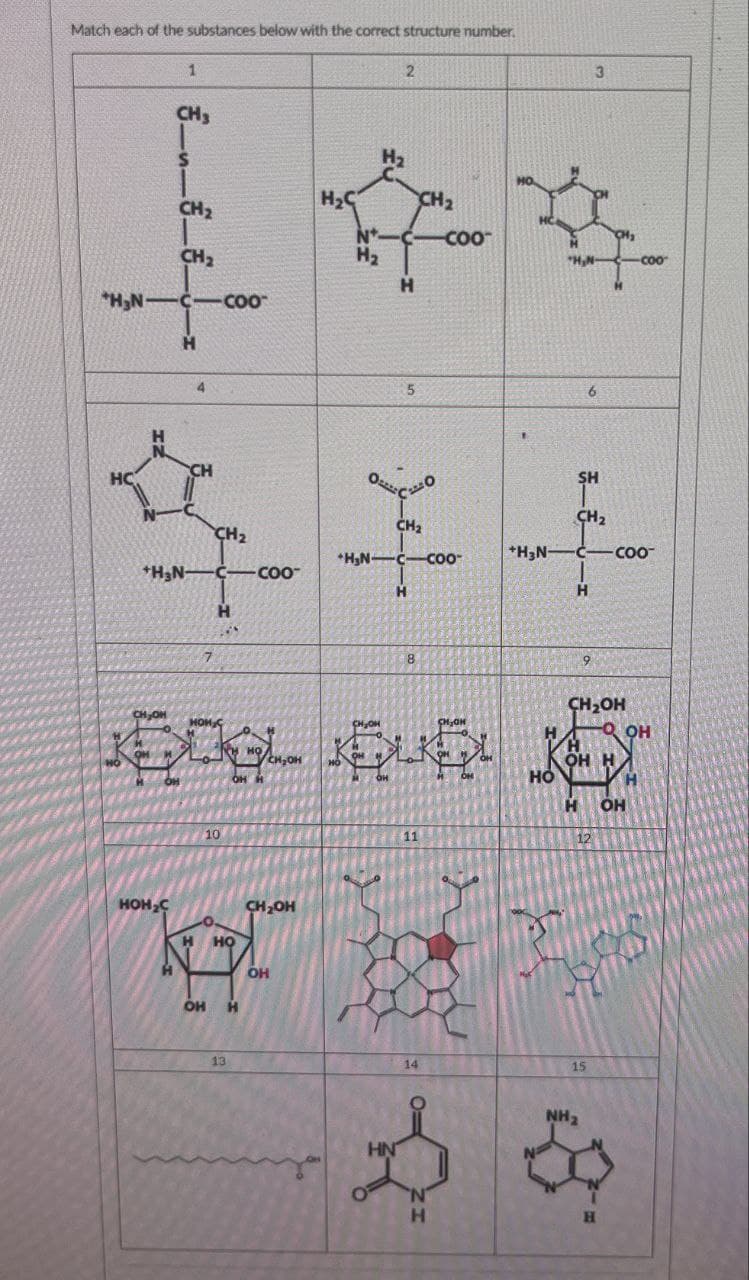 Match each of the substances below with the correct structure number.
1
2
CH₂
3
H₂
H₂C
CH2
CH2
COO
CH2
H₂
"H,N-
coo.
H
*H3N C-COO
H
5
6
H
N
HC
CH
CH2
+HN-C-Coo
CH2
羊
*HGN-C-C-
H
H
8
+H3N-
SH
CH2
-COO
H
CHOH
CH₂OH
H
OOH
救救
CH₂OH
HOM
HO
CH₂OH
OH H
10
OH H
HOD
H OHT
12
HOH₂C
H HO
CH₂OH
OH H
13
OH
15
NHz
HN
Ν
H
H