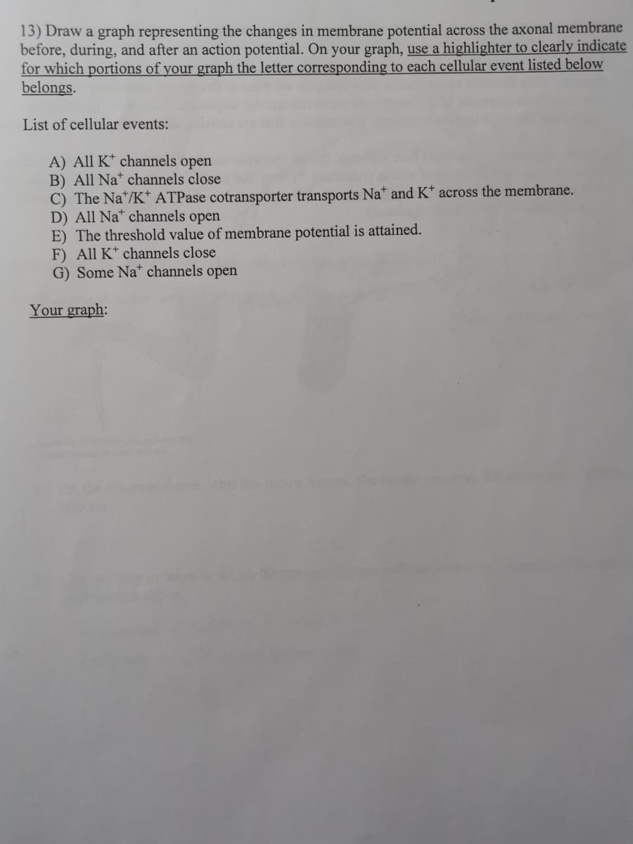 13) Draw a graph representing the changes in membrane potential across the axonal membrane
before, during, and after an action potential. On your graph, use a highlighter to clearly indicate
for which portions of your graph the letter corresponding to each cellular event listed below
belongs.
List of cellular events:
A) All K* channels open
B) All Na* channels close
C) The Na*/K* ATPase cotransporter transports Na* and K* across the membrane.
D) All Na* channels open
E) The threshold value of membrane potential is attained.
F) All K* channels close
G) Some Na* channels open
Your graph:
