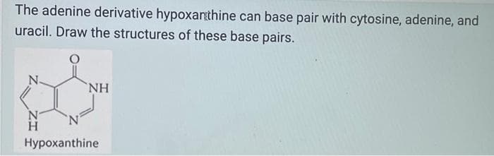 The adenine derivative hypoxanthine can base pair with cytosine, adenine, and
uracil. Draw the structures of these base pairs.
&
N N
H
Hypoxanthine
NH