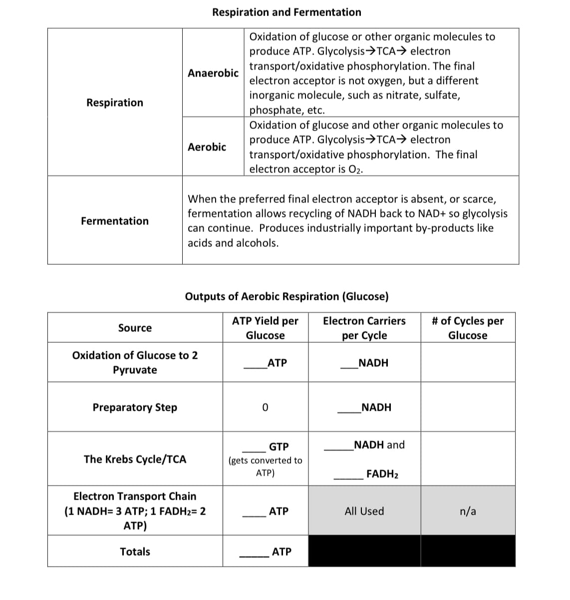 Respiration and Fermentation
Oxidation of glucose or other organic molecules to
produce ATP. Glycolysis>TCA> electron
transport/oxidative phosphorylation. The final
electron acceptor is not oxygen, but a different
inorganic molecule, such as nitrate, sulfate,
Anaerobic
Respiration
phosphate, etc.
Oxidation of glucose and other organic molecules to
produce ATP. Glycolysis→TCA→ electron
transport/oxidative phosphorylation. The final
electron acceptor is O2.
Aerobic
When the preferred final electron acceptor is absent, or scarce,
fermentation allows recycling of NADH back to NAD+ so glycolysis
can continue. Produces industrially important by-products like
Fermentation
acids and alcohols.
Outputs of Aerobic Respiration (Glucose)
ATP Yield per
Electron Carriers
# of Cycles per
Source
Glucose
per Cycle
Glucose
Oxidation of Glucose to 2
АТР
NADH
Pyruvate
Preparatory Step
NADH
GTP
NADH and
The Krebs Cycle/TCA
(gets converted to
АТР)
FADH2
Electron Transport Chain
(1 NADH= 3 ATP; 1 FADH2= 2
АТ)
АТР
All Used
n/a
Totals
АТР
