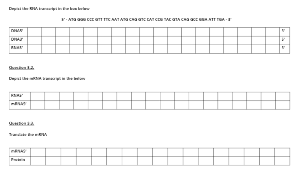 Depict the RNA transcript in the box below
5' - ATG GGG CCC GTT TTC AAT ATG CAG GTC CAT CCG TAC GTA CAG GCC GGA ATT TGA - 3'
DNAS'
3'
DNA3'
5'
RNA5
Question 3.2.
Depict the MRNA transcript in the below
RNAS'
MRNAS'
Question 3.3.
Translate the mRNA
MRNA5'
Protein
in in
