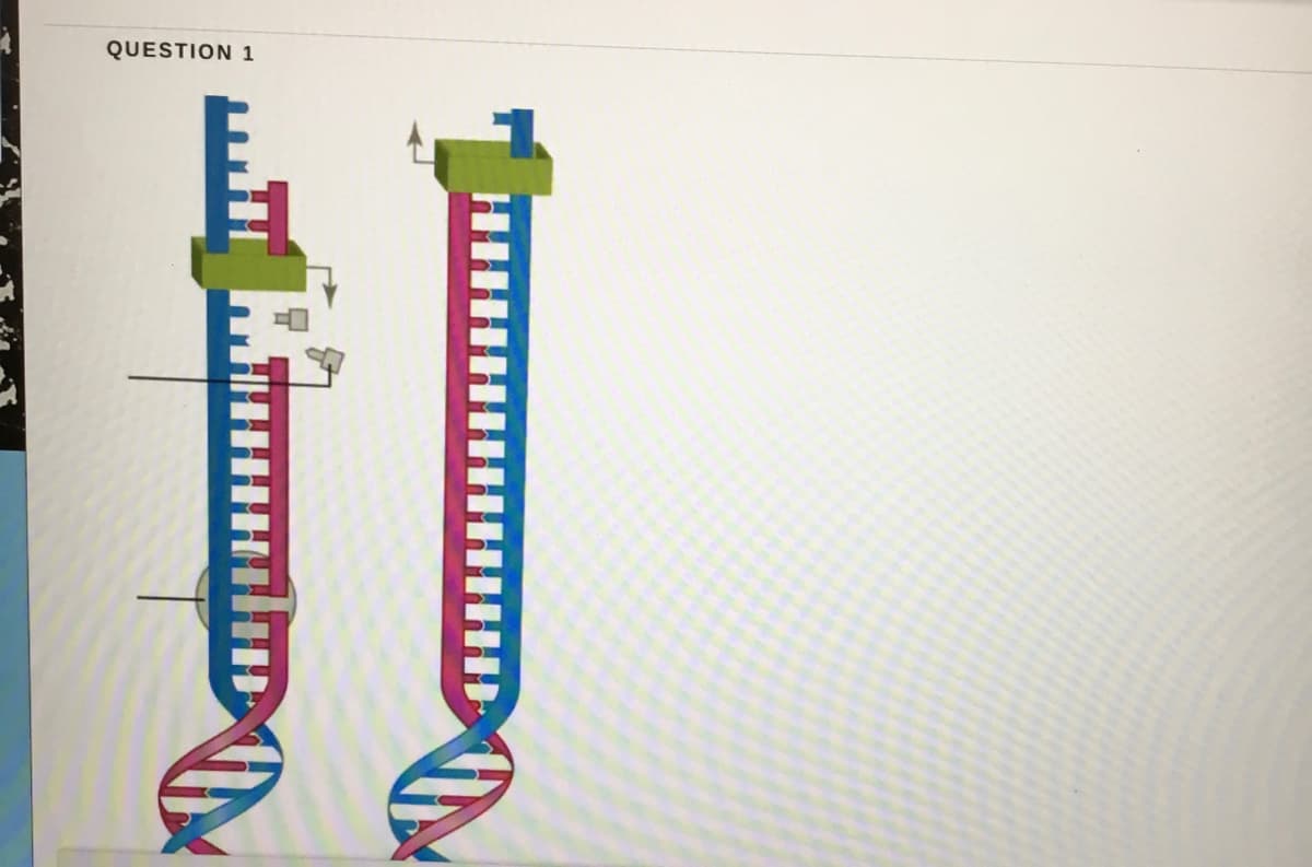 QUESTION 1
HI
