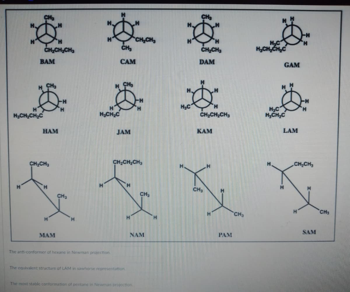 Ø
CH₂CH₂CH3
BAM
H CH₂
H
H₂CH₂CH₂C
HAM
CH₂CH₂
H
H
MAM
CH₂
H
H
H
H₂CH₂C
The anti-conformer of hexane in Newman projection.
CH₂
CAM
H CH3
JAM
CH₂CH₂CH₂
The equivalent structure of LAM in sawhorse representation.
H
CH₂CH₂
The most stable conformation of pentane in Newman projection.
CH₂
NAM
H
H₂C
H
CH₂
CH₂CH3
DAM
CH₂CH₂CH3
KAM
CH₂
PAM
CH3
H₂C
H₂CH₂CH₂C
H₂C
H₂CH₂C
H
GAM
LAM
H
CH₂CH₂
H
H
SAM
CH3