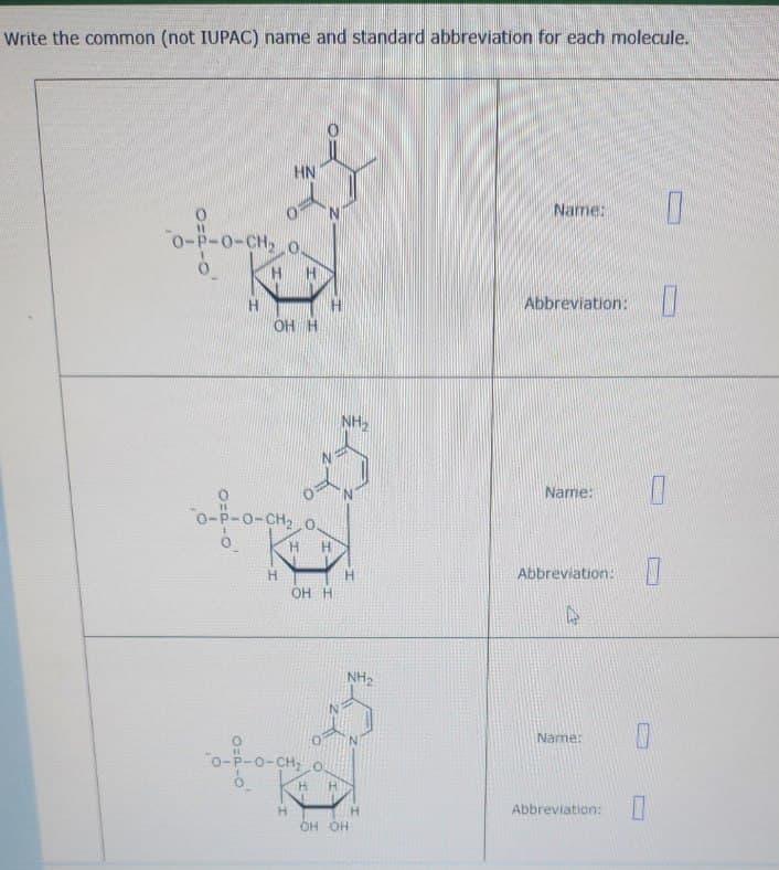 Write the common (not IUPAC) name and standard abbreviation for each molecule.
0
0-P-O-CH₂
0
HN
Name:
Abbreviation:
OH H
0-P-O-CH20.
H
NH2
Name:
H
Abbreviation:
OH H
-P-O-CH₂
H
NH2
Name:
H
H
Abbreviation:
OH OH