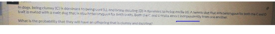 In dogs, being clumsy (C) is dominant to being cool (c), and belng dazzling (D) is dominant to heing doclle (d). A female dog that is heterozygous for both the Cand D
trait is mated with a male dog that is alsu heterozyguus for both traits. Both the Cand D traits assort independently from one another.
What is the probability that they will have an offspring that is clumsy and dazzling?
