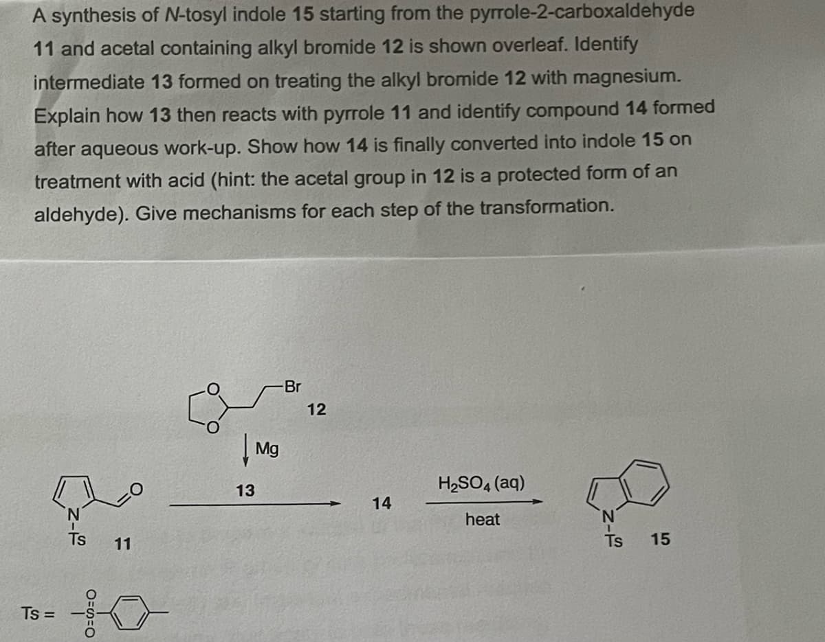 A synthesis of N-tosyl indole 15 starting from the pyrrole-2-carboxaldehyde
11 and acetal containing alkyl bromide 12 is shown overleaf. Identify
intermediate 13 formed on treating the alkyl bromide 12 with magnesium.
Explain how 13 then reacts with pyrrole 11 and identify compound 14 formed
after aqueous work-up. Show how 14 is finally converted into indole 15 on
treatment with acid (hint: the acetal group in 12 is a protected form of an
aldehyde). Give mechanisms for each step of the transformation.
Br
H₂SO4 (aq)
heat
Ts 11
Ts=
Mg
13
12
14
Ts
15