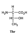 H,N-C-co,H
HC-OH
CH3
Thr
エーOー
