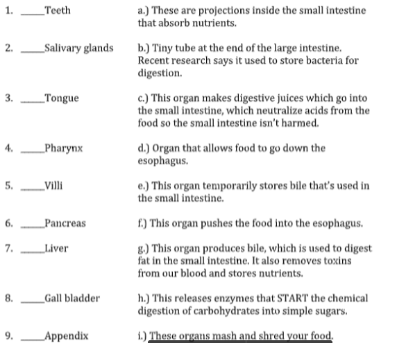 1.
_Teeth
a.) These are projections inside the small intestine
that absorb nutrients.
2.
_Salivary glands
b.) Tiny tube at the end of the large intestine.
Recent research says it used to store bacteria for
digestion.
c.) This organ makes digestive juices which go into
the small intestine, which neutralize acids from the
3.
_Tongue
food so the small intestine isn't harmed.
_Pharynx
d.) Organ that allows food to go down the
esophagus.
4.
5.
_Villi
e.) This organ temporarily stores bile that's used in
the small intestine.
6.
_Pancreas
f.) This organ pushes the food into the esophagus.
8.) This organ produces bile, which is used to digest
fat in the small intestine. It also removes toxins
from our blood and stores nutrients.
7.
_Liver
h.) This releases enzymes that START the chemical
digestion of carbohydrates into simple sugars.
8.
_Gall bladder
9.
Appendix
i.) These organs mash and shred your food.
