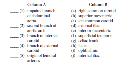 Column A
Column B
(a) right common carotid
(b) superior mesenteric
(c) left common carotid
(d) external iliac
(e) inferior mesenteric
(f) superficial temporal
(g) celiac trunk
(h) facial
(i) ophthalmic
(6) internal iliac
(1) unpaired branch
of abdominal
aorta
(2) second branch of
aortic arch
(3) branch of internal
carotid
(4) branch of external
carotid
(5) origin of femoral
arteries
