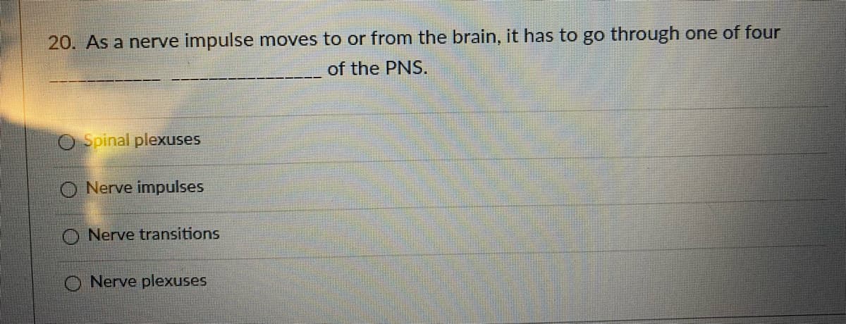 20. As a nerve impulse moves to or from the brain, it has to go through one of four
of the PNS.
O Spinal plexuses
O Nerve impulses
O Nerve transitions
Nerve plexuses
