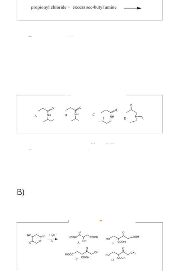 B)
propionyl chloride + excess sec-butyl amine
NC.
A
xxx t
NH
B
NH
H₂O*
HOOC
*
OH
A
HOOC
COOH
с
COOH
OH
NH
HO
HO
B
D
COOH
COOH
COOH