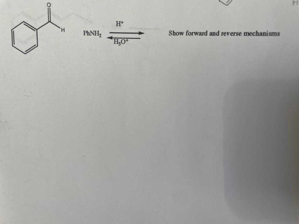 'H
PhNH,
H+
H3O+
Show forward and reverse mechanisms