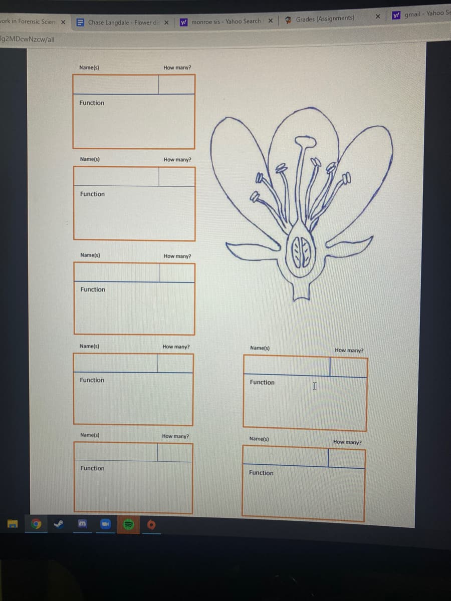 O Grades (Assignments)
y! gmail - Yahoo Se
vork in Forensic Scien X
E Chase Langdale - Flower disx
y! monroe sis - Yahoo Search
Tg2MDcwNzcw/all
Name(s)
How many?
Function
Name(s)
How many?
Function
Name(s)
How many?
Function
Name(s)
How many?
Name(s)
How many?
Function
Function
Name(s)
How many?
Name(s)
How many?
Function
Function
