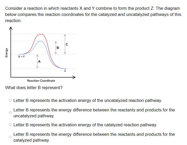 Consider a reaction in which reactants X and Y combine to form the product Z. The diagram
below compares the reaction coordinates for the catalyzed and uncatalyzed pathways of this
reaction.
B.
X+Y
Reaction Coordinate
What does letter B represent?
O Letter B represents the activation energy of the uncatalyzed reaction pathway.
Letter B represents the energy difference between the reactants and products for the
uncatalyzed pathway.
O Letter B represents the activation energy of the catalyzed reaction pathway.
Letter B represents the energy difference between the reactants and products for the
catalyzed pathway.
Energy
