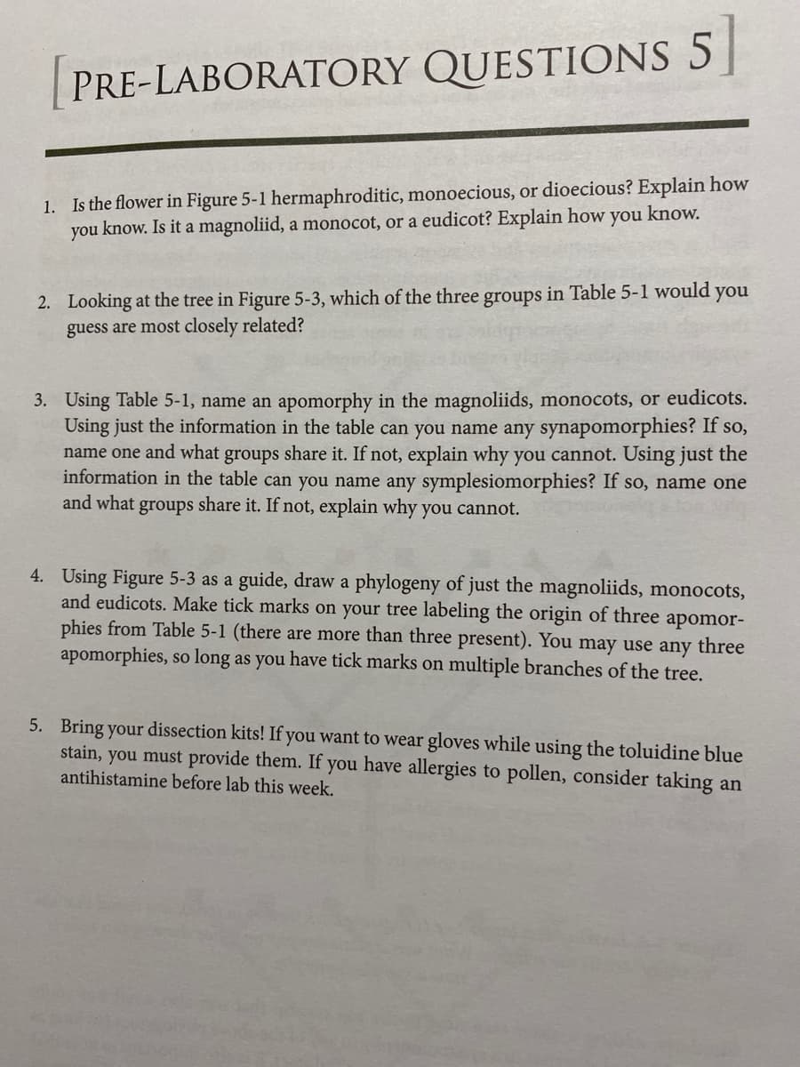 PRE-LABORATORY QUESTIONS 5
1. Is the flower in Figure 5-1 hermaphroditic, monoecious, or dioecious? Explain how
you know. Is it a magnoliid, a monocot, or a eudicot? Explain how you know.
2. Looking at the tree in Figure 5-3, which of the three groups in Table 5-1 would
guess are most closely related?
you
3. Using Table 5-1, name an apomorphy in the magnoliids, monocots, or eudicots.
Using just the information in the table can you name any synapomorphies? If so,
name one and what groups share it. If not, explain why you cannot. Using just the
information in the table can you name any symplesiomorphies? If so, name one
and what groups share it. If not, explain why you cannot.
4. Using Figure 5-3 as a guide, draw a phylogeny of just the magnoliids, monocots,
and eudicots. Make tick marks on your tree labeling the origin of three apomor-
phies from Table 5-1 (there are more than three present). You may use any three
apomorphies, so long as you have tick marks on multiple branches of the tree.
5. Bring your dissection kits! If you want to wear gloves while using the toluidine blue
stain, you must provide them. If you have allergies to pollen, consider taking an
antihistamine before lab this week.
