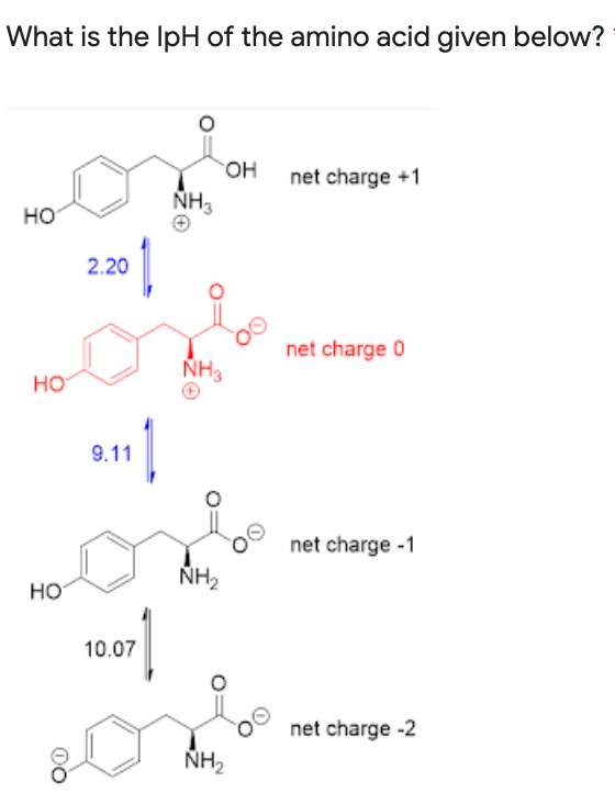 What is the IpH of the amino acid given below?
он
HO.
net charge +1
NH3
но
2.20
net charge 0
NH3
HO
9.11
net charge -1
NH2
HO
10.07
net charge -2
ÑH2
