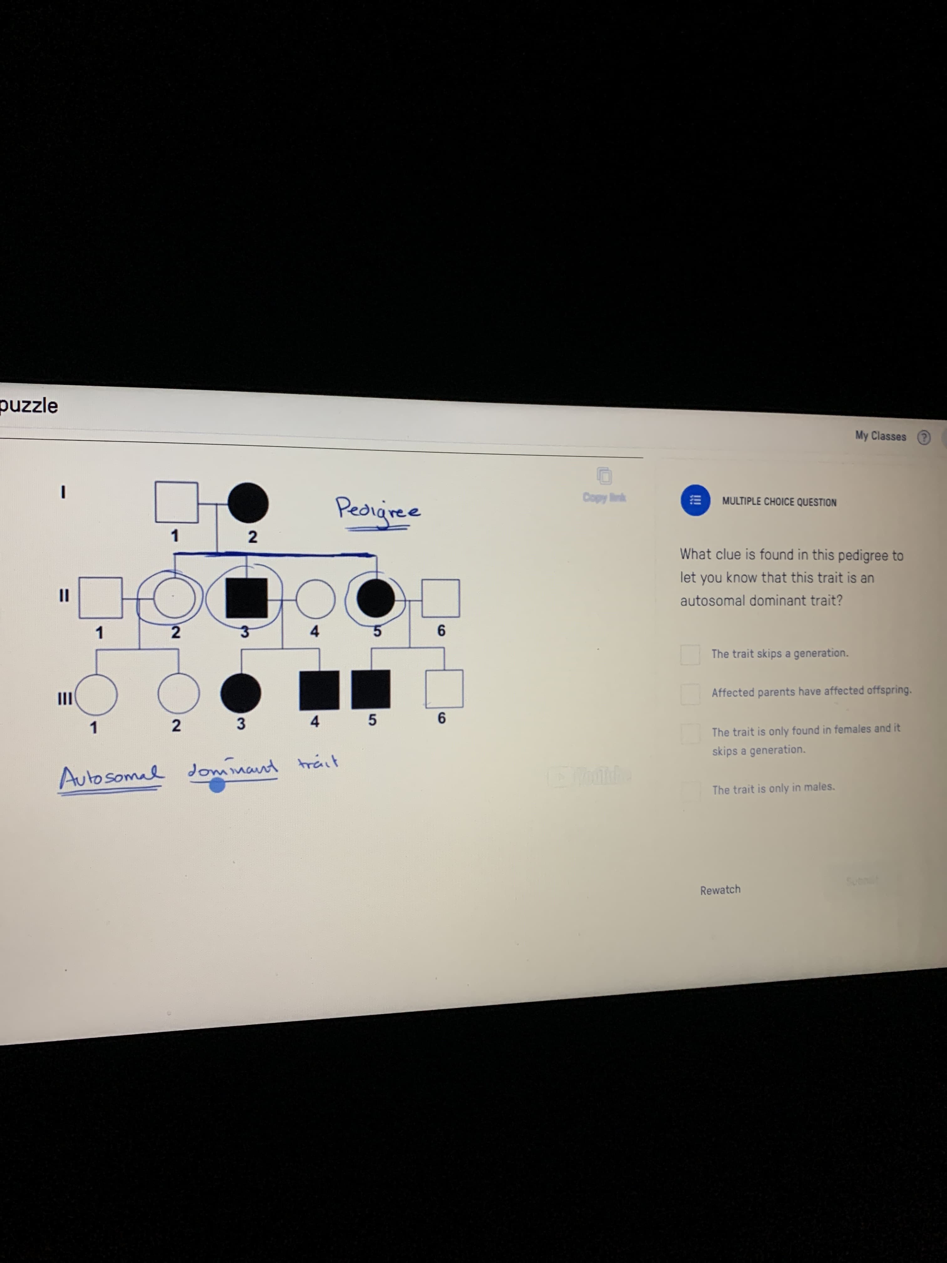 zzle
My Classes
Copy ink
Peoigree
MULTIPLE CHOICE QUESTION
1
What clue is found in this pedigree to
let you know that this trait is an
autosomal dominant trait?
1
4
6.
The trait skips a generation.
II
Affected parents have affected offspring.
1
2 3
4 5
The trait is only found in females and it
skips a generation.
Autosomal dominant tráit
The trait is only in males.
!
