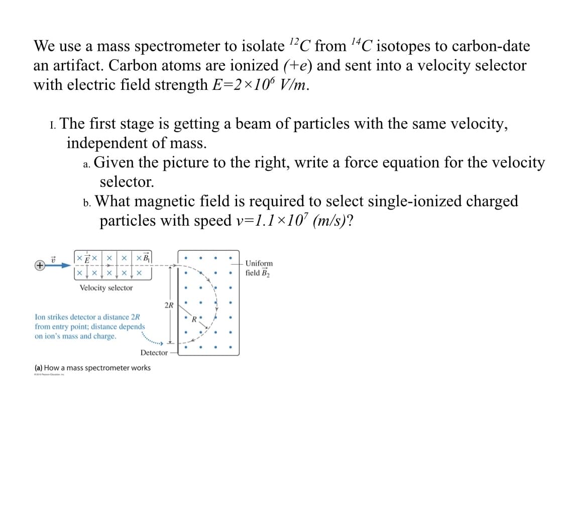 We use a mass spectrometer to isolate ?C from "C isotopes to carbon-date
an artifact. Carbon atoms are ionized (+e) and sent into a velocity selector
with electric field strength E=2×10 V/m.
1. The first stage is getting a beam of particles with the same velocity,
independent of mass.
a. Given the picture to the right, write a force equation for the velocity
selector.
b. What magnetic field is required to select single-ionized charged
particles with speed v=1.1×10' (m/s)?
Uniform
field B,
Velocity selector
2R
Ion strikes detector a distance 2R
from entry point; distance depends
on ion's mass and charge.
Detector
(a) How a mass spectrometer works
e n ta
