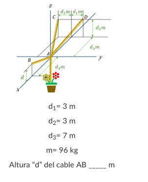 d,m|d,m|
dzm
d,m
B
d,m
d1= 3 m
d2= 3 m
d3= 7 m
m= 96 kg
Altura "d" del cable AB m
