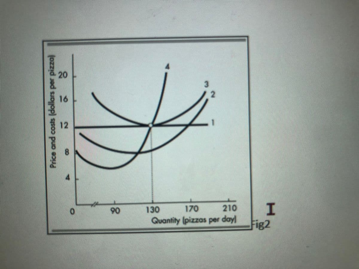 20
616
12
8.
90
130
170
210
Quantily (pizzas per day
Fig2
