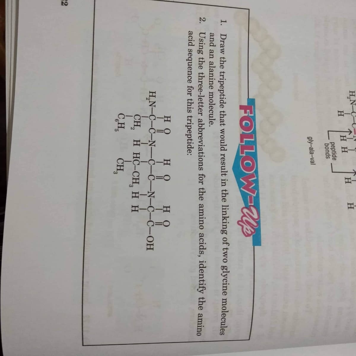 H,N-C-U-
нн
H
peptide
bonds
gly-ala-val
FOLLOW-Up
1. Draw the tripeptide that would result in the linking of two glycine molecules
and an alanine molecule.
2. Using the three-letter abbreviations for the amino acids, identify the amino
acid sequence for this tripeptide:
H
H
но
TI
Н.N-C-C-N—С—С—N—С-С-ОН
里8
CH, н НС-СH, Н Н
Č,H,
CH,
ČH,
2
