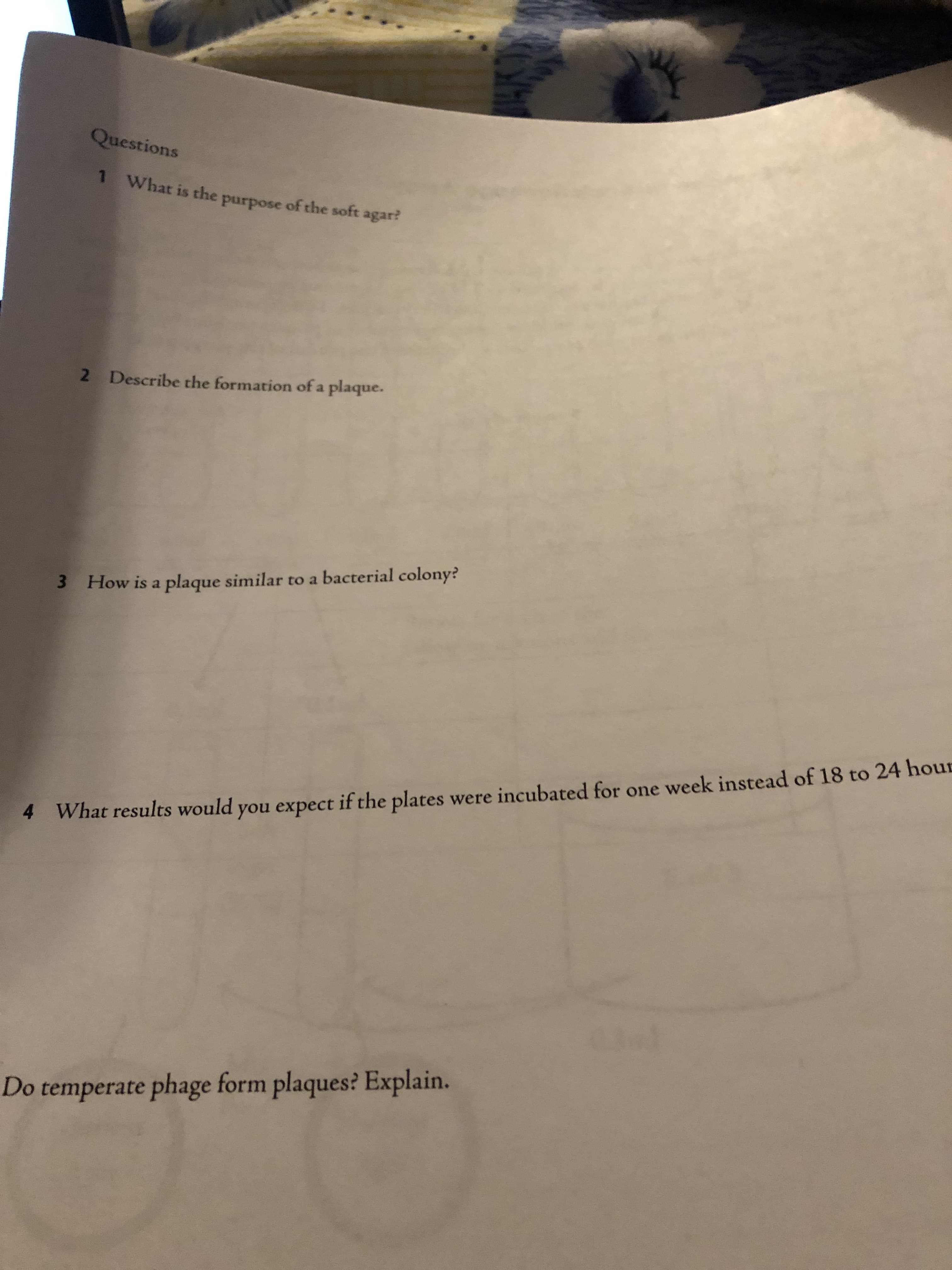 Questions
1
What is the purpose of the soft agar?
Describe the formation of a plaque.
2
3 How is a plaque similar to a bacterial colony?
4What results would you expect if the plates were incubated for one week instead of 18 to 24 hour
Do temperate phage form plaques? Explain.
