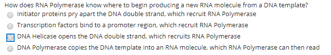 How does RNA Polymerase know where to begin producing a new RNA molecule from a DNA template?
Initiator proteins pry apart the DNA double strand, which recruit RNA Polymerase
Transcription factors bind to a promoter region, which recruit RNA Polymerase
| DNA Helicase opens the DNA double strand, which recruits RNA Polymerase
DNA Polymerase copies the DNA template into an RNA molecule, which RNA Polymerase can then read
