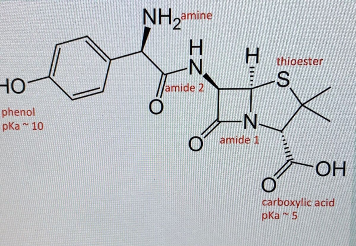 HO
phenol
pka 10
~
NH₂amine
O
IZ
N
amide 2
O
H thioester
ES
N
amide 1
X
-ОН
carboxylic acid
pka ~ 5