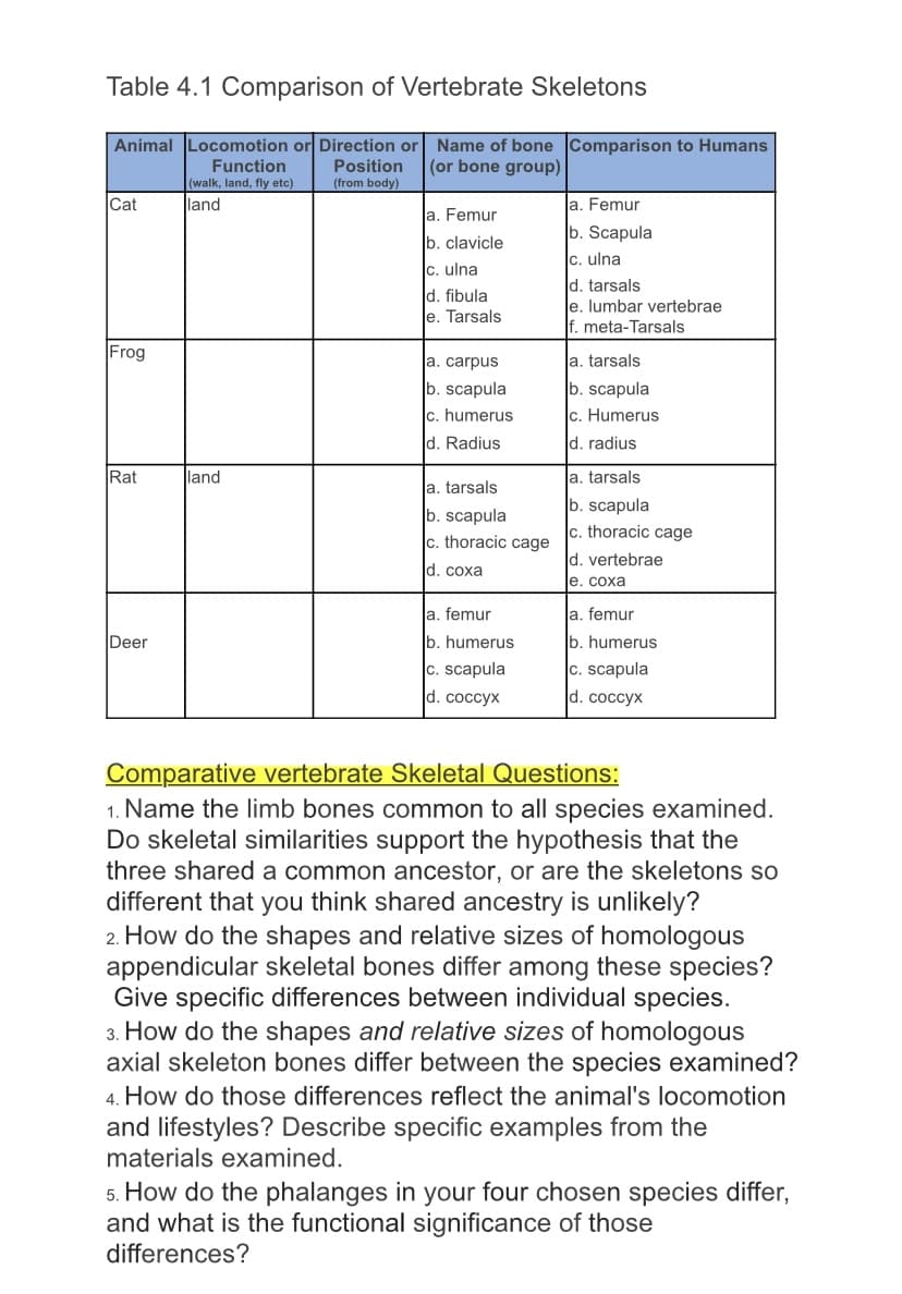 Table 4.1 Comparison of Vertebrate Skeletons
Animal Locomotion or Direction or Name of bone Comparison to Humans
(or bone group)
Function
(walk, land, fly etc)
Position
(from body)
Cat
land
a. Femur
a. Femur
b. clavicle
b. Scapula
c. ulna
c. ulna
d. fibula
e. Tarsals
d. tarsals
e. lumbar vertebrae
f. meta-Tarsals
Frog
a. carpus
a. tarsals
b. scapula
b. scapula
c. Humerus
c. humerus
d. Radius
d. radius
a. tarsals
b. scapula
c. thoracic cage
Rat
land
Ja. tarsals
b. scapula
c. thoracic cage
d. vertebrae
d. coxa
е. соха
la. femur
a. femur
Deer
b. humerus
b. humerus
c. scapula
c. scapula
d. coccyx
d. cocсух
Comparative vertebrate Skeletal Questions:
1. Name the limb bones common to all species examined.
Do skeletal similarities support the hypothesis that the
three shared a common ancestor, or are the skeletons so
different that you think shared ancestry is unlikely?
2. How do the shapes and relative sizes of homologous
appendicular skeletal bones differ among these species?
Give specific differences between individual species.
3. How do the shapes and relative sizes of homologous
axial skeleton bones differ between the species examined?
4. How do those differences reflect the animal's locomotion
and lifestyles? Describe specific examples from the
materials examined.
5. How do the phalanges in your four chosen species differ,
and what is the functional significance of those
differences?
