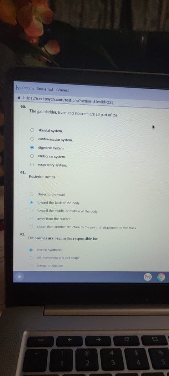 hh Chrome - Take a Test - iGiveTest
A https://meritpsych.com/test.php?action=&testid=225
60.
The gallbladder, liver, and stomach are all part of the
skeletal system.
cardiovascular system.
digestive system
endocrine system.
O respiratory system.
61.
Posterior means
closer to the head.
toward the back of the body
toward the middle or midline of the body.
away from the surface.
closer than another structure to the point of attachment to the trunk.
62.
Ribosomes are organelles responsible for
protein synthesis
cell movement and cell shape
energy production
esc
->
Ce
@
%23
%24
1
3.
