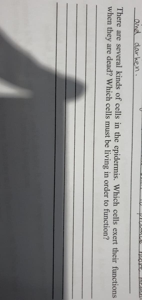 and darken.
There are several kinds of cells in the epidermis. Which cells exert their functions
when they are dead? Which cells must be living in order to function?

