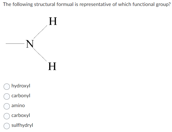 The following structural formual is representative of which functional group?
-N
hydroxyl
carbonyl
amino
carboxyl
sulfhydryl
H
H