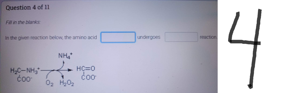 Question 4 of 11
Fill in the blanks
In the given reaction below, the amino acid
HỌC NHỚ
coo
NH₂+
02 H₂O₂
HC=0
coo
undergoes
reaction.