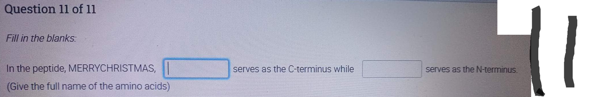 Question 11 of 11
Fill in the blanks:
In the peptide, MERRYCHRISTMAS,
(Give the full name of the amino acids)
serves as the C-terminus while
41
serves as the N-terminus.