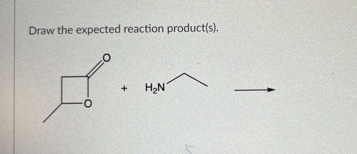 Draw the expected reaction product(s).
O
O
+
H₂N