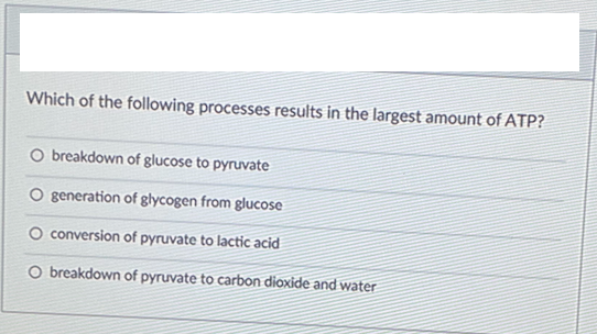 ### Cellular Respiration and ATP Production

#### Question:
Which of the following processes results in the largest amount of ATP?

#### Options:
1. Breakdown of glucose to pyruvate
2. Generation of glycogen from glucose
3. Conversion of pyruvate to lactic acid
4. Breakdown of pyruvate to carbon dioxide and water

#### Explanation:
To answer this question, it is important to understand how cells generate ATP (adenosine triphosphate), which is the energy currency of the cell. The primary processes involved are glycolysis, the Krebs cycle (citric acid cycle), and oxidative phosphorylation.

1. **Breakdown of glucose to pyruvate (Glycolysis)**:
   - This process involves the conversion of glucose into pyruvate.
   - It takes place in the cytoplasm.
   - Produces a net gain of 2 ATP molecules per glucose molecule.

2. **Generation of glycogen from glucose (Glycogenesis)**:
   - This is the process of converting glucose into glycogen for storage.
   - It does not generate ATP but rather consumes ATP.

3. **Conversion of pyruvate to lactic acid (Lactic Acid Fermentation)**:
   - Occurs in the absence of oxygen (anaerobic conditions).
   - Converts pyruvate into lactic acid and regenerates NAD+ for glycolysis.
   - Does not produce additional ATP beyond what is generated in glycolysis.

4. **Breakdown of pyruvate to carbon dioxide and water (Cellular Respiration, specifically Krebs cycle and oxidative phosphorylation)**:
   - This is the most efficient process for ATP production.
   - Occurs in the mitochondria.
   - Includes the Krebs cycle and oxidative phosphorylation.
   - Produces up to 34 more ATP molecules per glucose molecule, in addition to the 2 ATP from glycolysis.

The correct answer is **Breakdown of pyruvate to carbon dioxide and water**. This process involves the complete oxidation of pyruvate and produces the largest amount of ATP by far, through the Krebs cycle and oxidative phosphorylation.