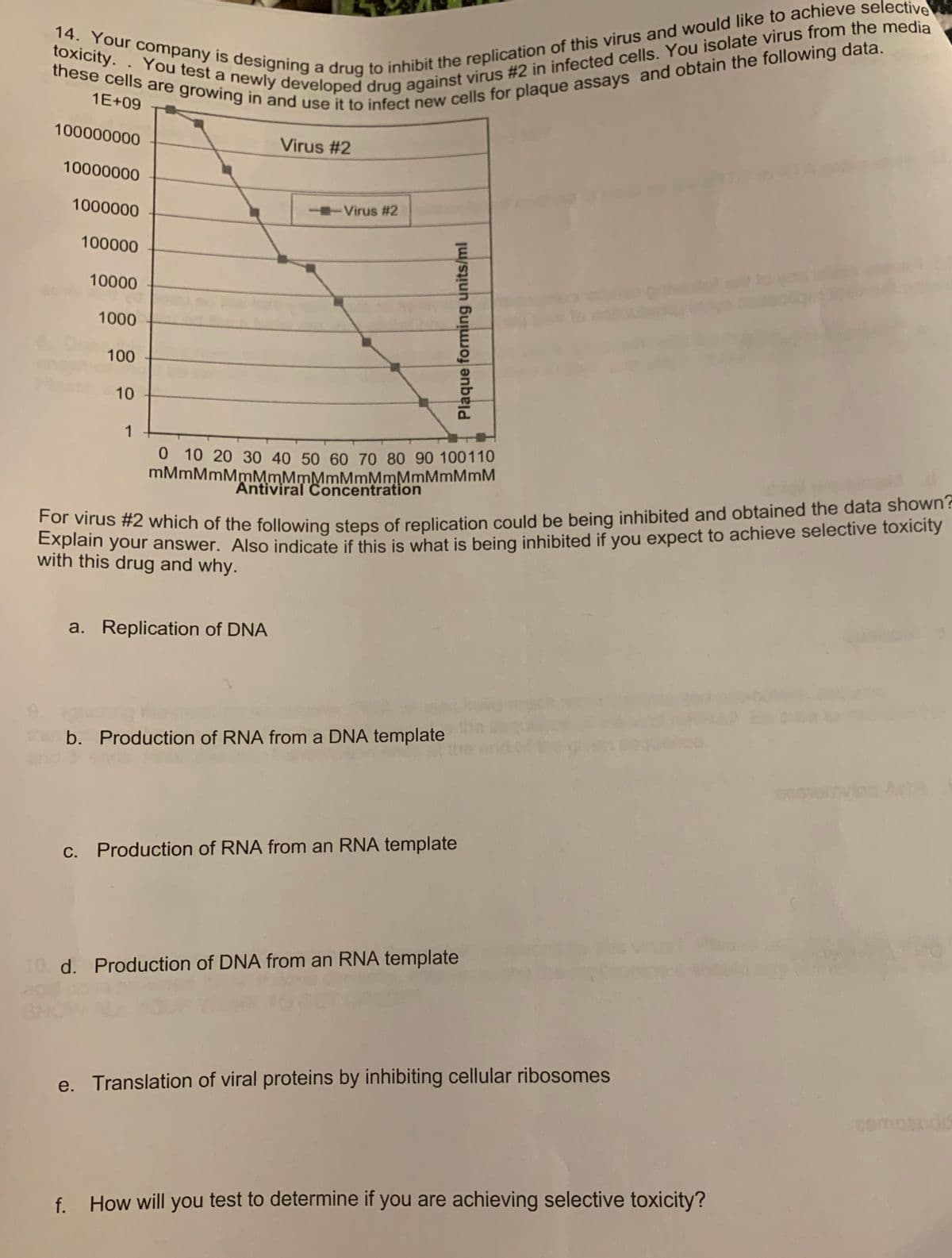 toxicity.. You test a newly developed drug against virus #2 in infected cells. You isolate virus from the media
these cells are growing in and use it to infect new cells for plaque assays and obtain the following data.
14. Your company is designing a drug to inhibit the replication of this virus and would like to achieve selective
1E+09
100000000
10000000
1000000
100000
10000
1000
100
10
1
Virus #2
--Virus #2
0 10 20 30 40 50 60 70 80 90 100110
mMmMmMmMmMmMmMmMmMmMmMmM
a. Replication of DNA
Antiviral Concentration
For virus #2 which of the following steps of replication could be being inhibited and obtained the data shown?
Explain your answer. Also indicate if this is what is being inhibited if you expect to achieve selective toxicity
with this drug and why.
Plaque forming units/ml
b. Production of RNA from a DNA template
c. Production of RNA from an RNA template
10 d. Production of DNA from an RNA template
e. Translation of viral proteins by inhibiting cellular ribosomes
f. How will you test to determine if you are achieving selective toxicity?
vba Avt