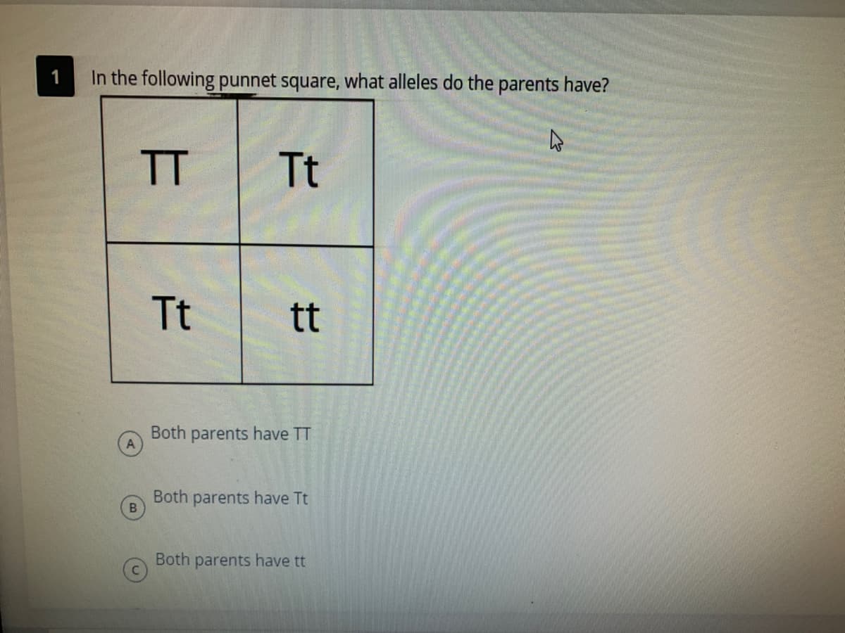 1
In the following punnet square, what alleles do the parents have?
TT
Tt
Tt
tt
Both parents have TT
Both parents have Tt
Both parents have t
