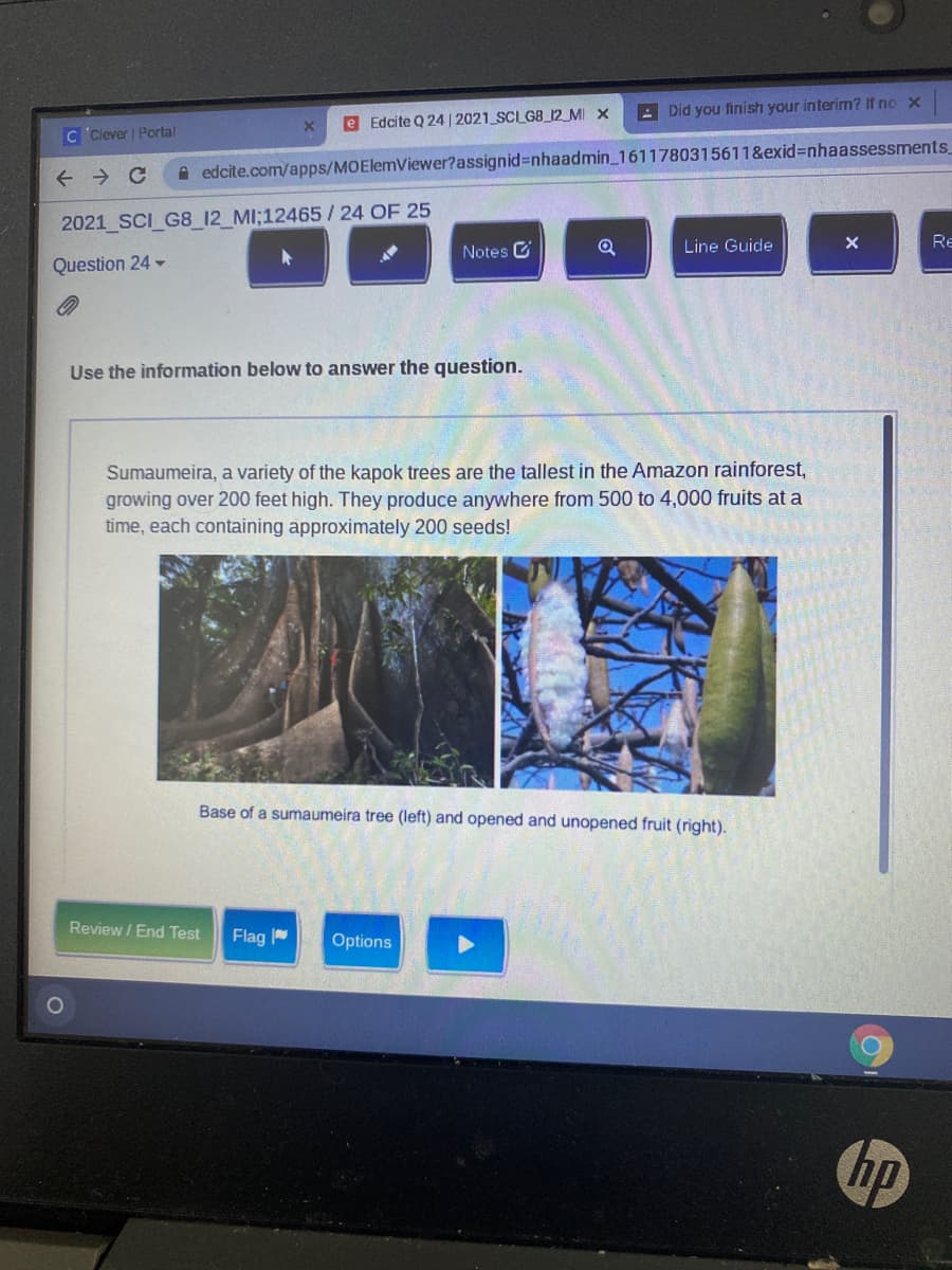 A Did you finish your interirm? If no x
e Edcite Q 24| 2021 SCLGB_12_MI X
C Clever | Portal
A edcite.com/apps/MOElemViewer?assignid%3Dnhaadmin_1611780315611&exid%3Dnhaassessments,
2021 SCI G8_12_MI;12465/24 OF 25
Re
Notes C
Q
Line Guide
Question 24 -
Use the information below to answer the question.
Sumaumeira, a variety of the kapok trees are the tallest in the Amazon rainforest,
growing over 200 feet high. They produce anywhere from 500 to 4,000 fruits at a
time, each containing approximately 200 seeds!
Base of a sumaumeira tree (left) and opened and unopened fruit (right).
Review /End Test
Flag
Options
hp
