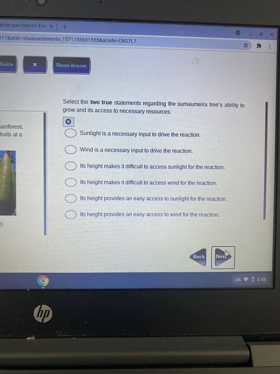 nnish your interim? If no x
511&exid=nhaassessments_1571155631555&acode%3DC6G7L7
Guide
Reset Answer
Select the two true statements regarding the sumaumeira tree's ability to
grow and its access to necessary resources.
ainforest,
fruits at a
Sunlight is a necessary input to drive the reaction.
Wind is a necessary input to drive the reaction.
Its height makes it difficult to access sunlight for the reaction.
Its height makes it difficult to access wind for the reaction,
Its height provides an easy access to sunlight for the reaction.
Its height provides an easy access to wind for the reaction.
:).
Back
Next
US V O 3:43
hp
